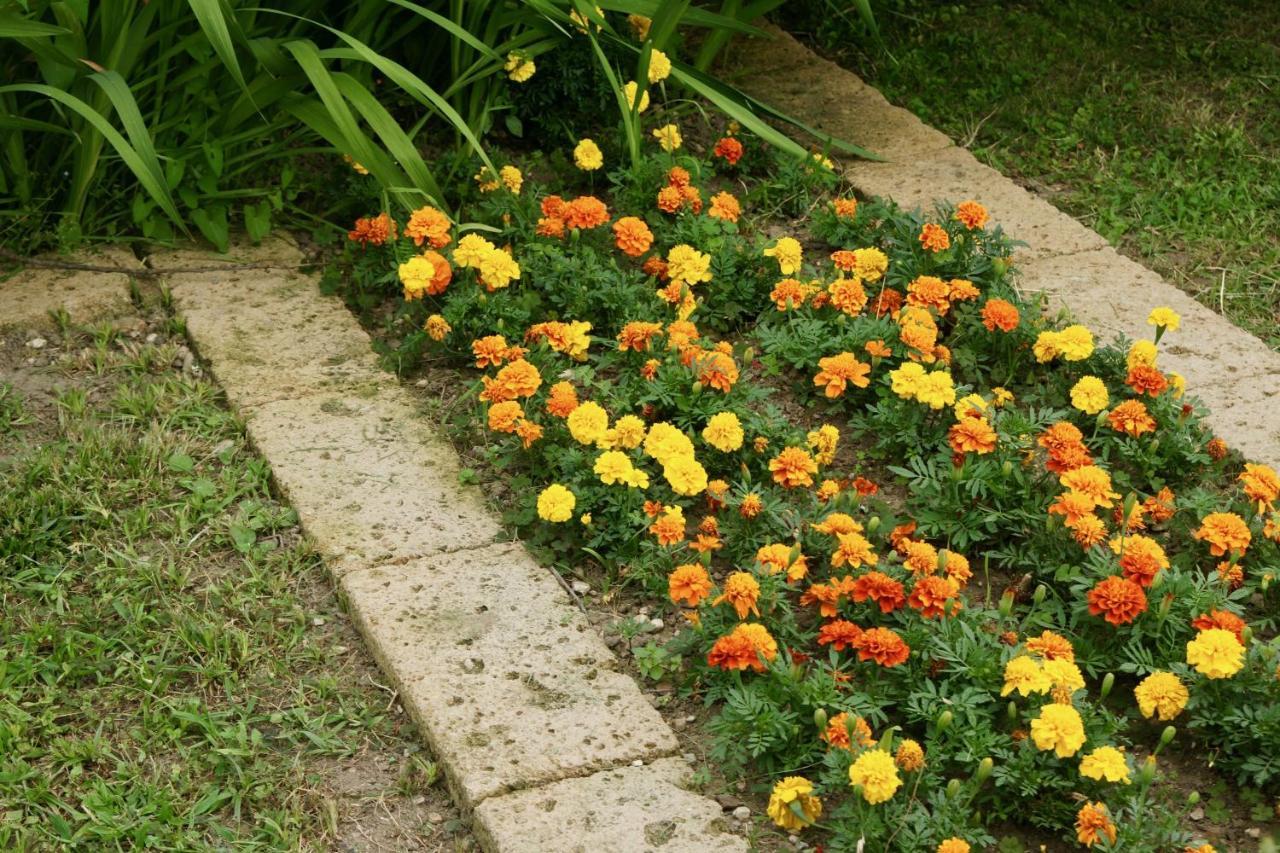 B&B The Secret Garden Buia 외부 사진